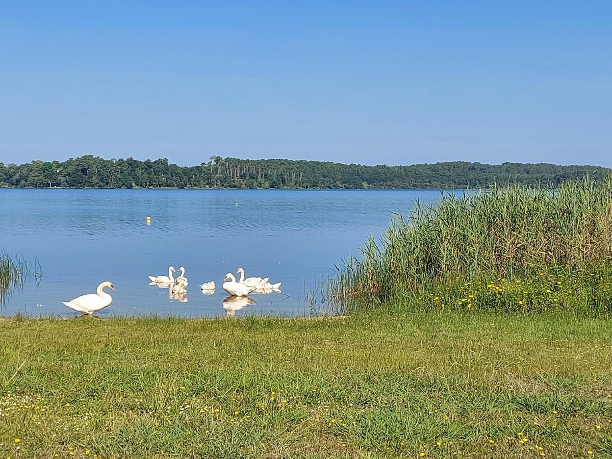 T2, 50M Du Lac, Piscine, Wifi, Jardin Terrasse Sans Vis-A-Vis, 1 A 4 Pers Aureilhan  Exterior foto