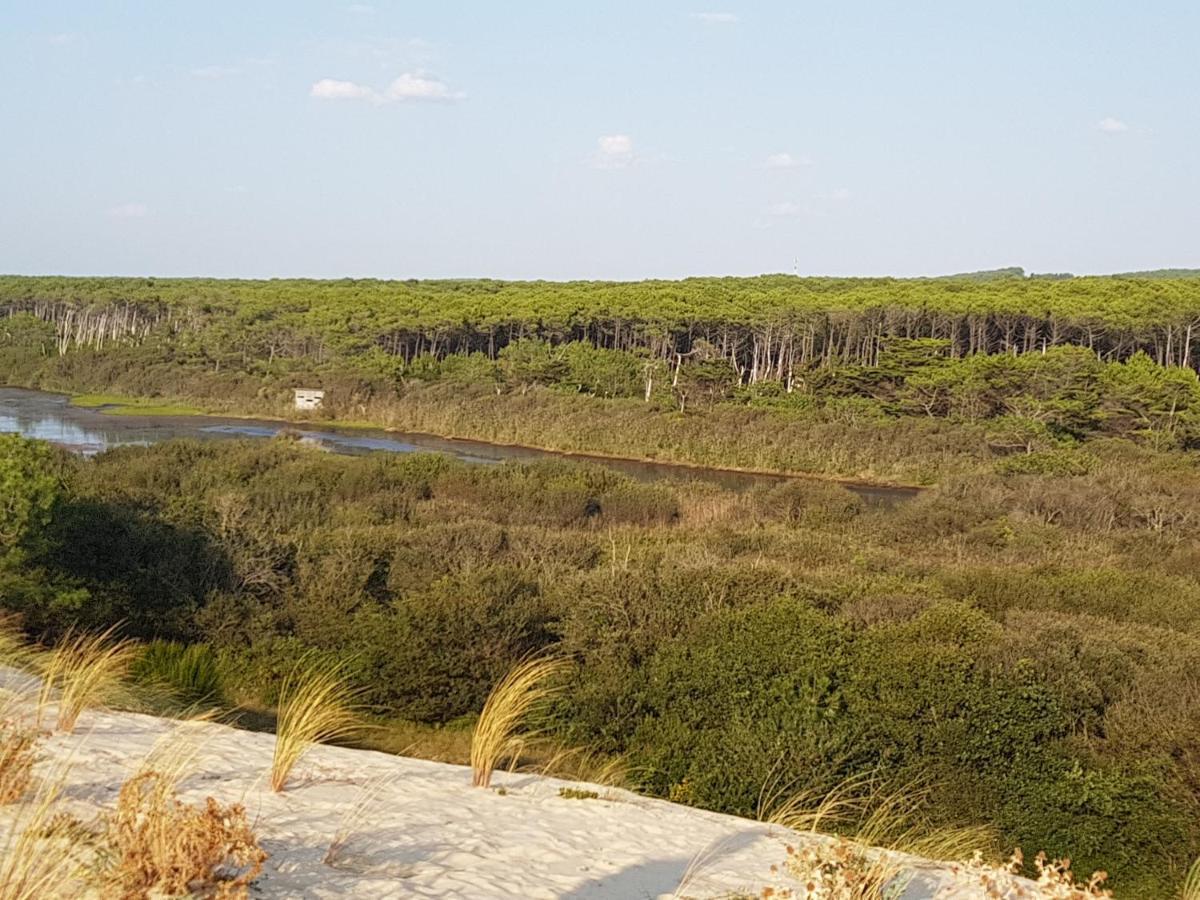 T2, 50M Du Lac, Piscine, Wifi, Jardin Terrasse Sans Vis-A-Vis, 1 A 4 Pers Aureilhan  Exterior foto